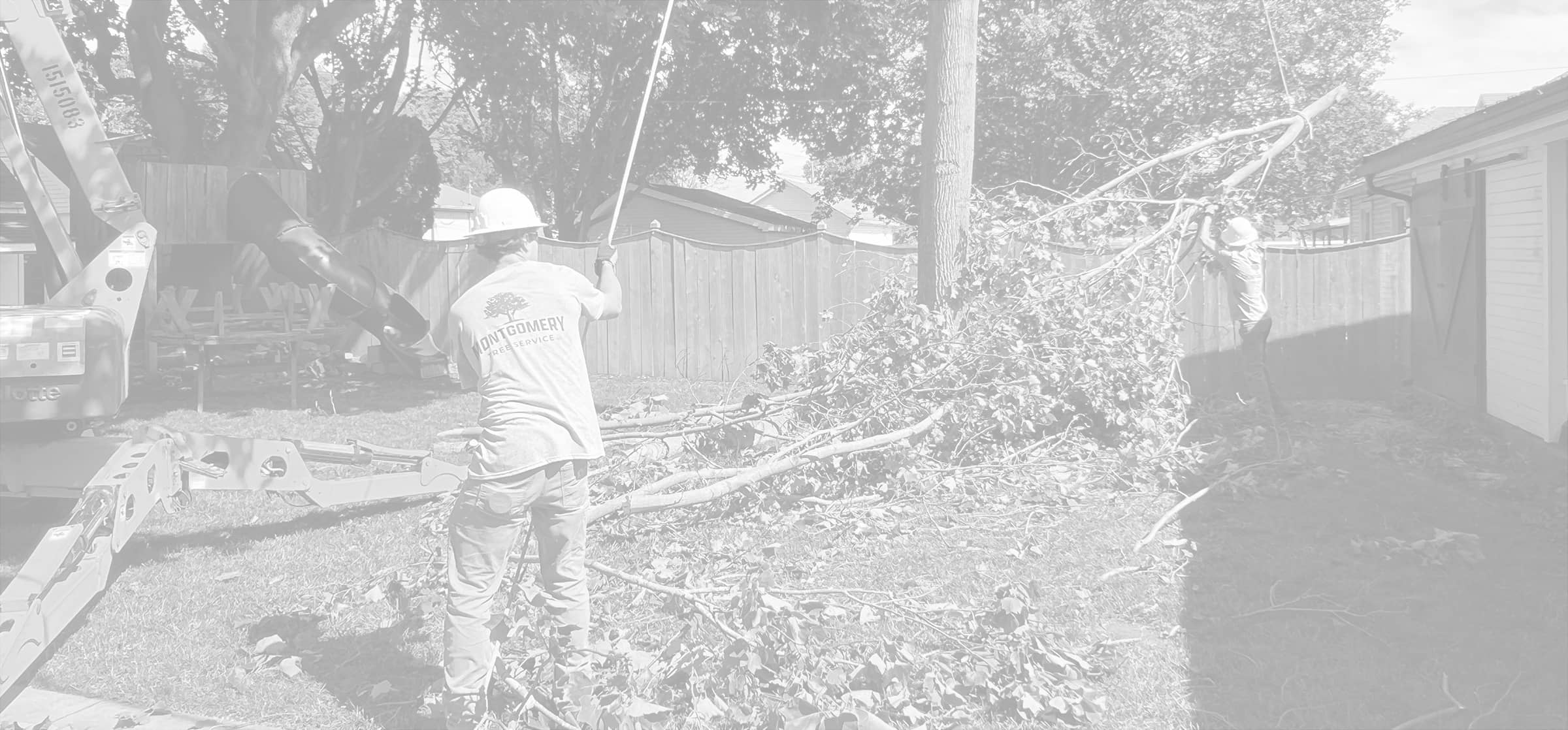 Montgomery Tree Service | Dayton, Ohio