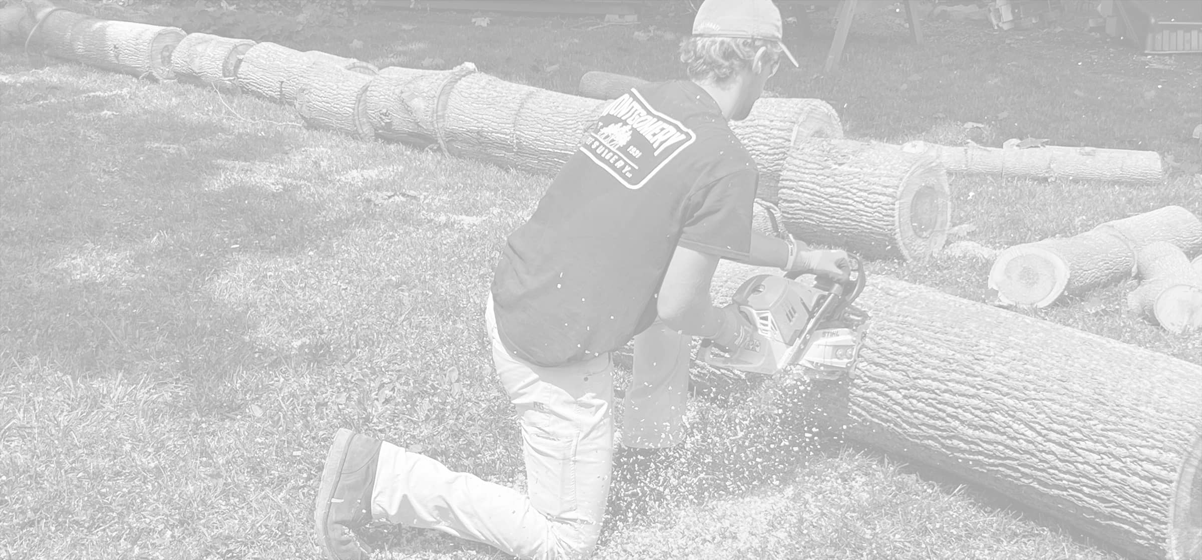 Montgomery Tree Service | Dayton, Ohio