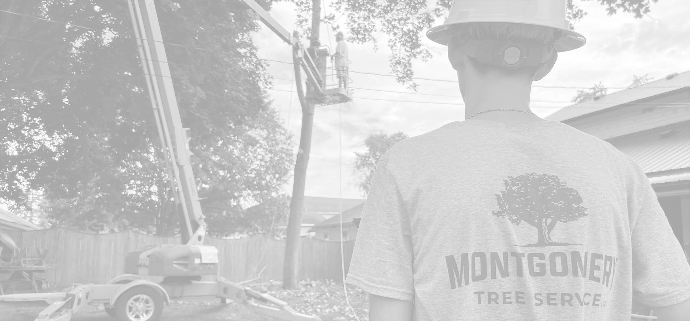 Montgomery Tree Service | Dayton, Ohio