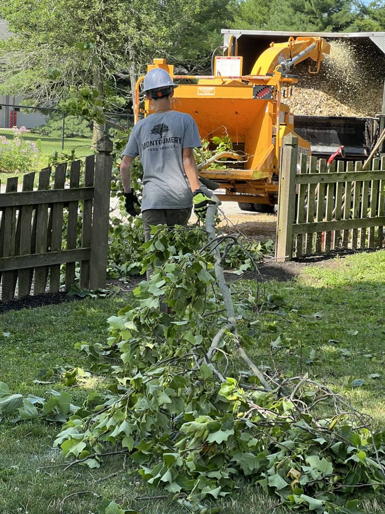 Montgomery Tree Service Storm Clean Up | Dayton, Ohio