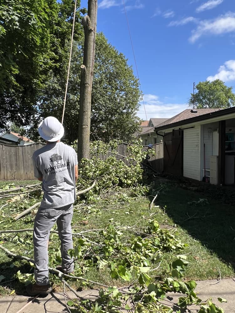 Montgomery Tree Service Storm Clean Up | Dayton, Ohio