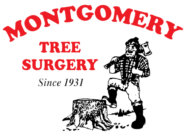 Montgomery Tree Surgery Since 1931